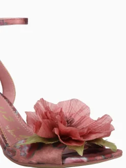 Outlet Circus NY by Sam Edelman aria flower berry blush multi Wine