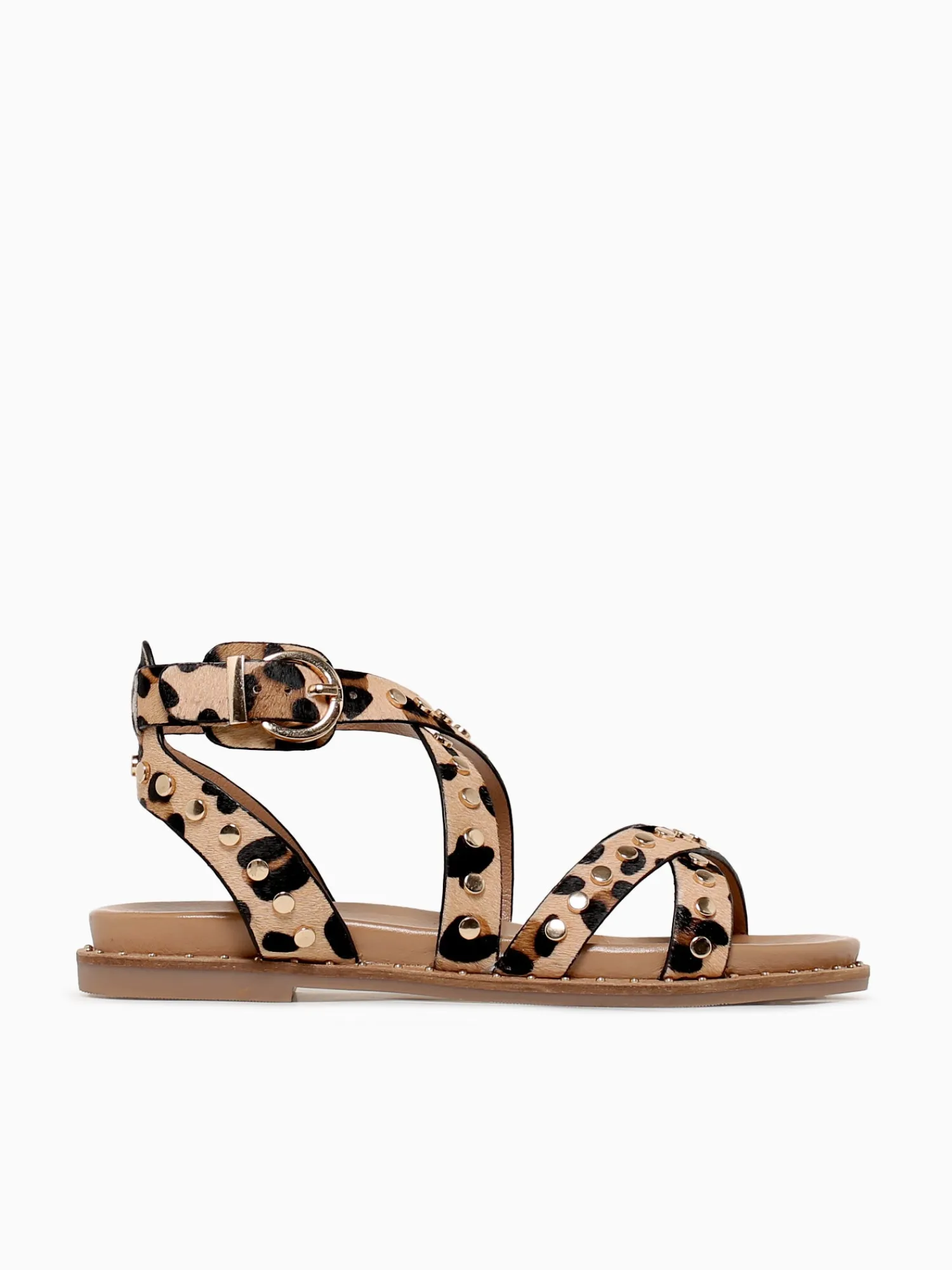 Discount Carmela carisma 162393 leopardo piel Multi