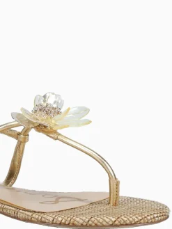 Discount Sam Edelman eden amber metallic Gold