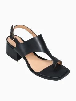 Best Ferrucci fidelity preto atanado Black