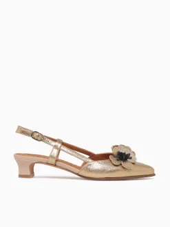 Sale Chie Mihara hazel platino agnes Gold