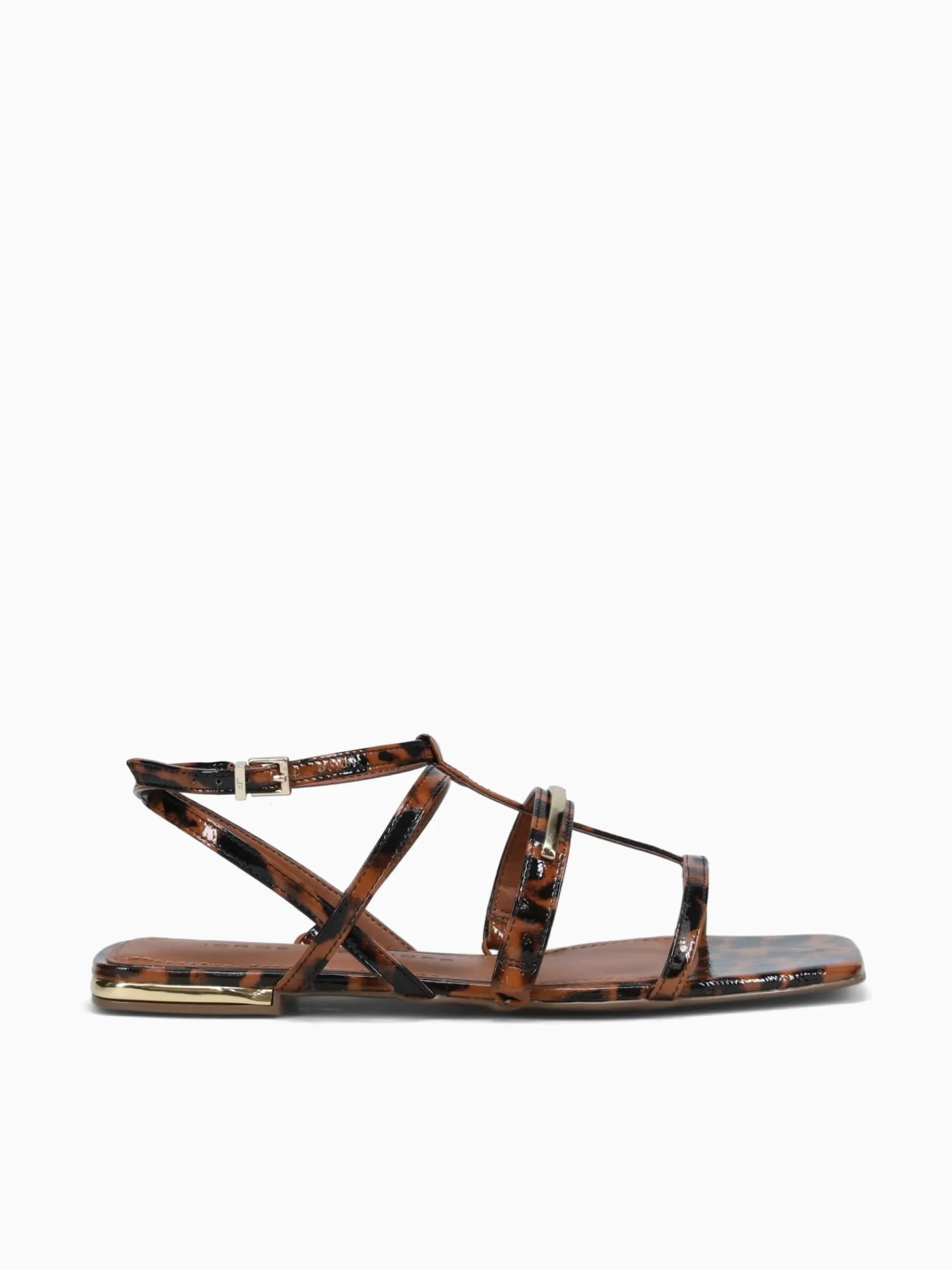 Best Jorge Bischoff jarah ntural tortoise Natural