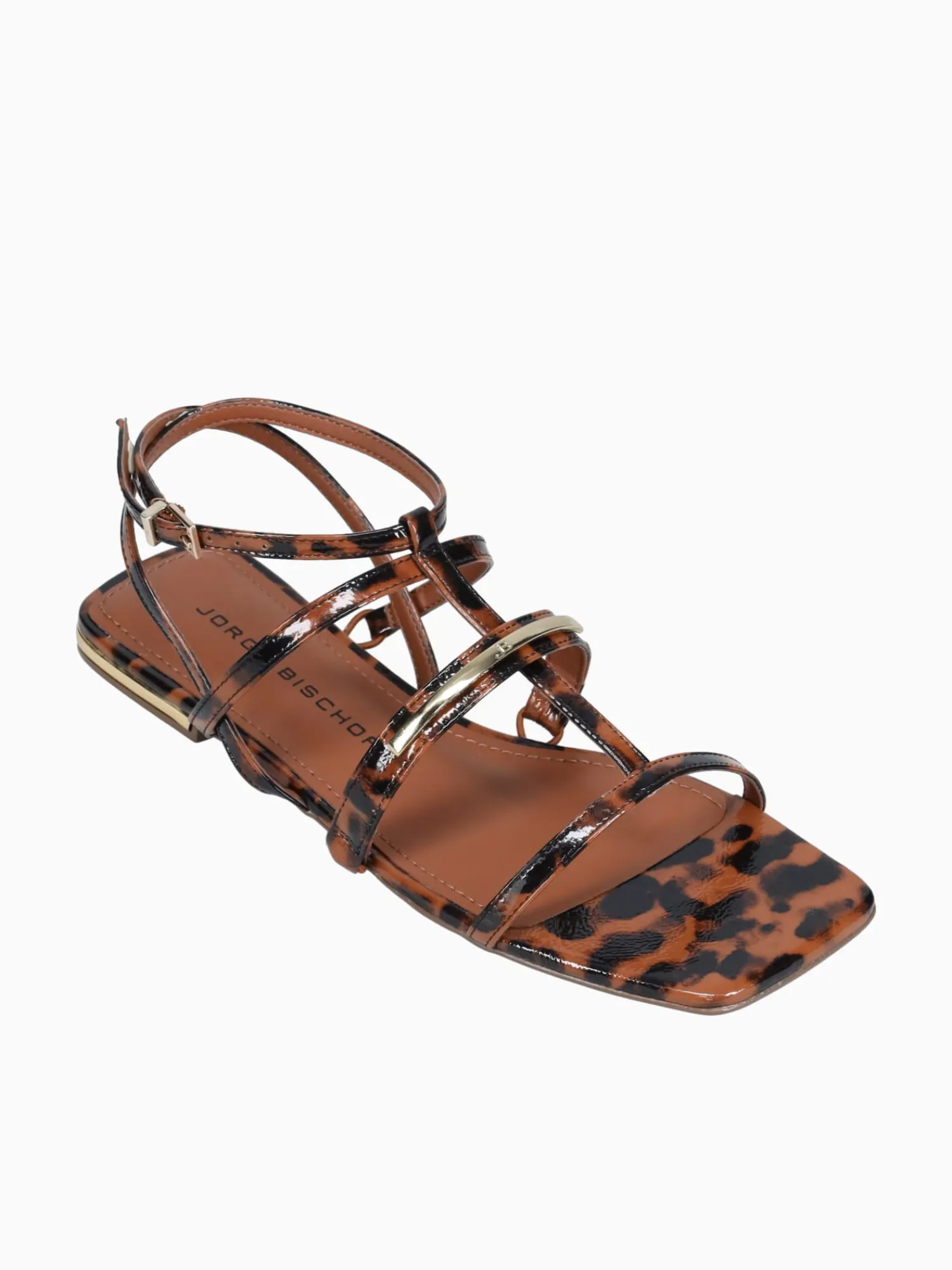Best Jorge Bischoff jarah ntural tortoise Natural