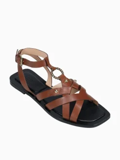 Clearance LF kitten conhaque parafinado Brown