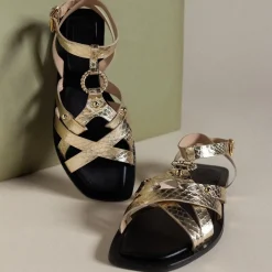 New LF kitten ouro dunny Gold