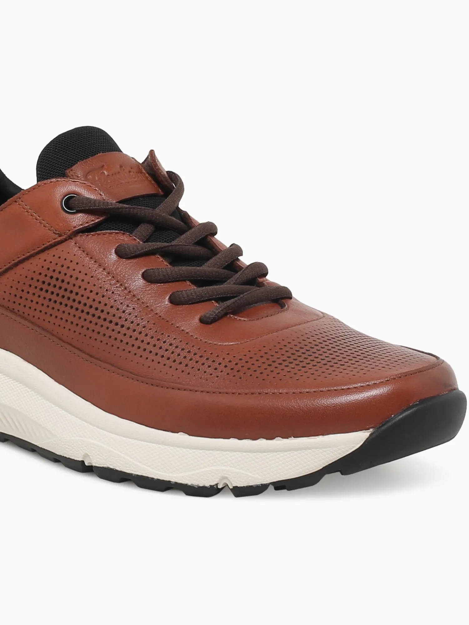 Outlet Florsheim satellite perf elastic cognac navy lea Tan