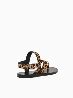 Best Tabita torey leopardo pelo Black Brown