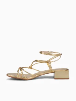 Best Anni Sitka zaniyah ouro ipanema Gold