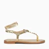 Hot Anni Sitka zelina new chroma Gold