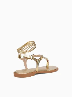 Hot Anni Sitka zelina new chroma Gold
